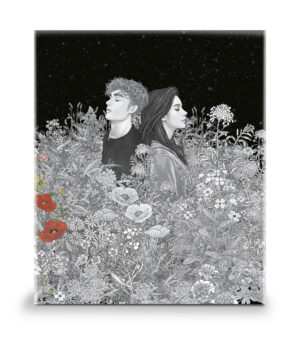 Estuche Saga Crepúsculo