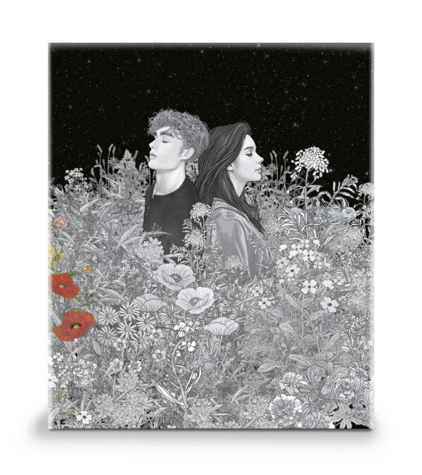 Estuche Saga Crepúsculo